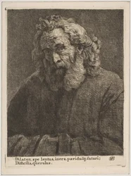Velho com uma barba longa, 1761.