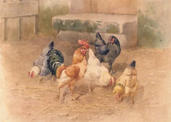 Galinhas (aguarela com corpinho no papel)
