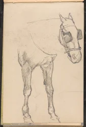 Esboço de cavalo com antolhos, por volta de 1879