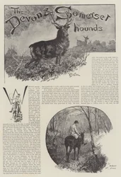 O Devon e Somerset Hounds