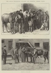 O Royal Veterinary College e Hospital, Camden Town