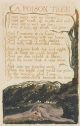 &39;A Poison Tree&39;, gravura 40 de &39;Songs of Experience&39;, 1794 (gravura em relevo impressa em cores com aquarela)