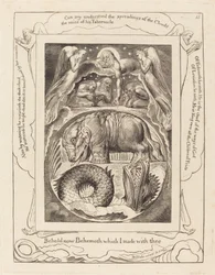 Behemoth e Leviatã