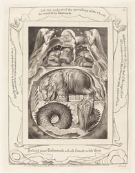 Behemoth e Leviathan, 1825.