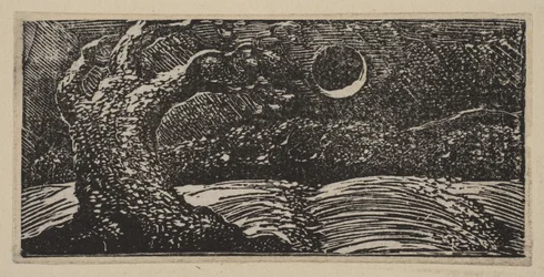 Árvores destruídas e colheitas achatadas, da Pastoral de Thorntons de Virgil, 1821.