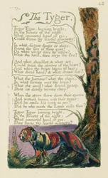 Poema intitulado «O Tigre», escrito por William Blake