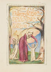 Canções da Inocência e da Experiência: The Fly, ca. 1825