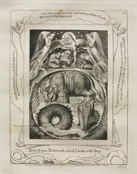 O Livro de Jó: Pl. 15, Eis agora Behemoth que fiz contigo