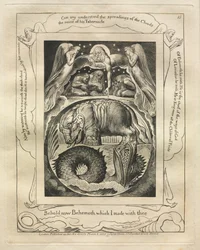O Livro de Jó: Pl. 15, Eis agora Behemoth que fiz contigo