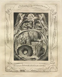 O Livro de Jó: Pl. 15, Eis agora o Behemoth que fiz contigo, 1825.