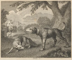 O cão e a raposa