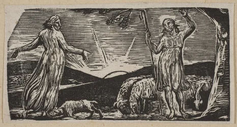 Thenot Remonstrates With Colinet, de Thorntons Pastorals of Virgil, 1821.