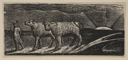 Novilhas Unyokd, Loitering Homeward, de Thorntons Pastorals of Virgil, 1821.