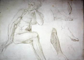 Estudos de nudismo masculino (lápis sobre papel)