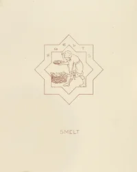 Cheirado, 1878