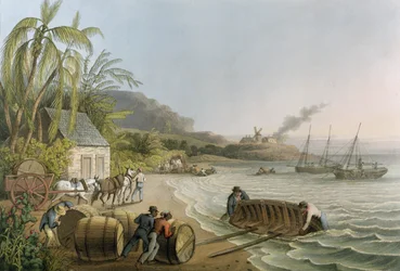Transporte e embarque de barris de açúcar, prancha X de «Dez Vistas da Ilha de Antígua», publicado por W. Clark, Londres, 1823