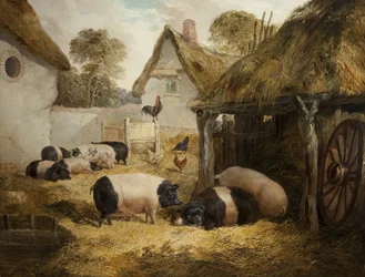 Hospitalidade Cottage