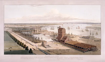 Brunswick Dock, e East India Dock, Poplar, Londres, 1803