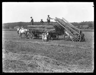 Trabalhadores agrícolas, carregando, feno, ligado, para, horse-drawn, feno, vagão, como, três crianças, relógio, McCready, fazenda, Crawford, município, pensilvânia, c.1913
