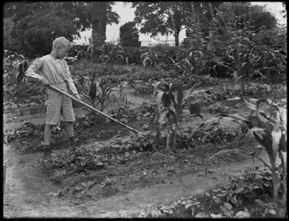 William Gray Hassler trabalhando no jardim da escola em Isham Park, Nova York, 5 de agosto de 1914