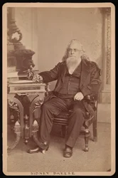 Retrato de Sidney Breese 1800-1878, Antes de 1878.
