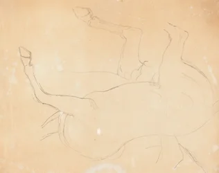 Estudo de um Cavalo [verso]