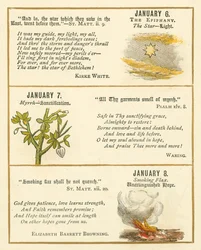 Página do Livro de Aniversário do Emblema da Bíblia (litografia a cores)