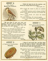 Página do Livro de Aniversário do Emblema da Bíblia (litografia a cores)