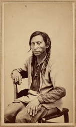 Lobo cinzento, década de 1860 (foto)