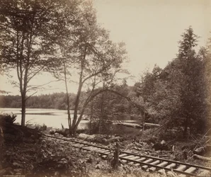 Lago Beechwood