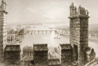 O rio Shannon e Limerick da torre da Catedral, Condado de Limerick, de "Cenário e antiguidades da Irlanda" por George Virtue, de 1860