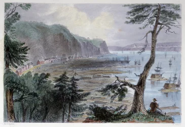 Timber Déposition près de Québec - em "Canadian scenery illustrated" por Bartlett W. H.