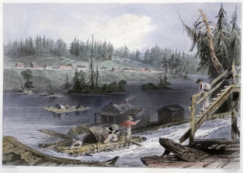 Transport du bois à "les Chats" - em "Canadian scenery illustrated" por Bartlett W. H.