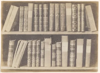 Uma cena em uma biblioteca, placa VIII do Lápis da Natureza