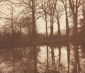 Árvores de inverno, refletidas em uma lagoa