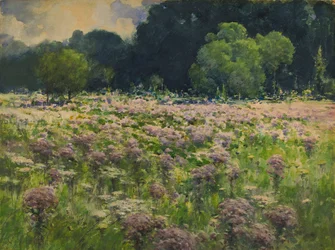 Campo de ervas daninhas de Joe Pie (Pride of the Meadow)