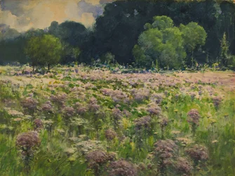 Campo de Joe Pie Pie Weeds Pride of the Meadow, n.d.