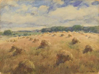 Campos de trigo de Maryland