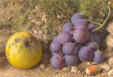 Maçã, Uvas e uma Cob-Nut