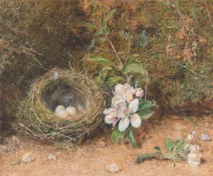 Ninho de Aves com Pulverizadores de Flores de Maçã