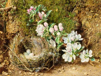 Ramo de flor de maçã e ninho de pássaro