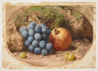 Natureza-morta com uvas e uma romã