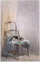 Estudo de um cão em uma cadeira (aquarela sobre papel)