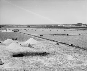 Salinas e cubas de refinação, México, cerca de 1880-97