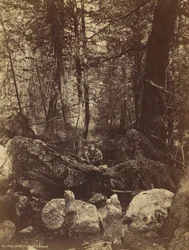 A trilha em West Gallatin Cañon, c. 1870s.