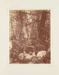 O trilho no bosque, Gallatin Cañon