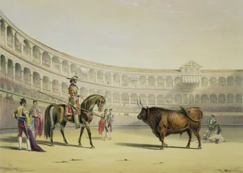 Picador desafiando o touro, 1865