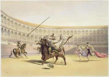 O touro jogando o Picador e cavalo, 1865