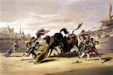 O Picador Desmontado