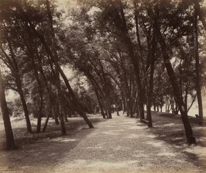Parque de merendas, c. 1895 (foto)